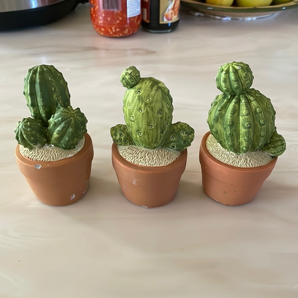 Ceramic Cacti Decor